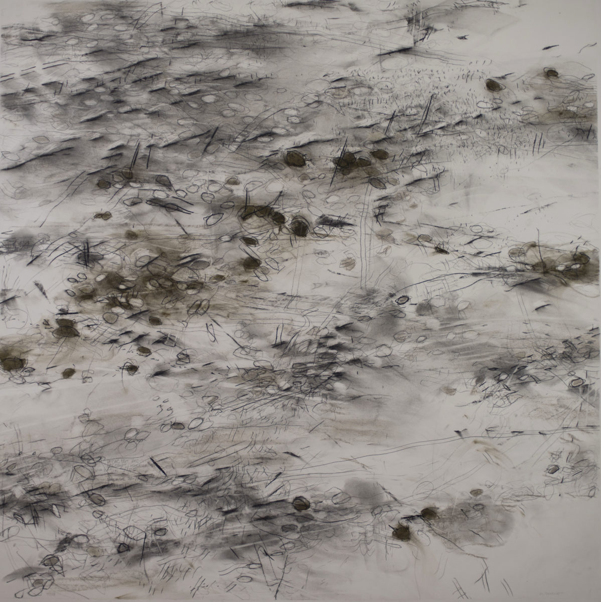 JAQUET Alain, 2018, 2018, Fusain, mine de plomb et pastel sur papier, 120 cm / 120 cm