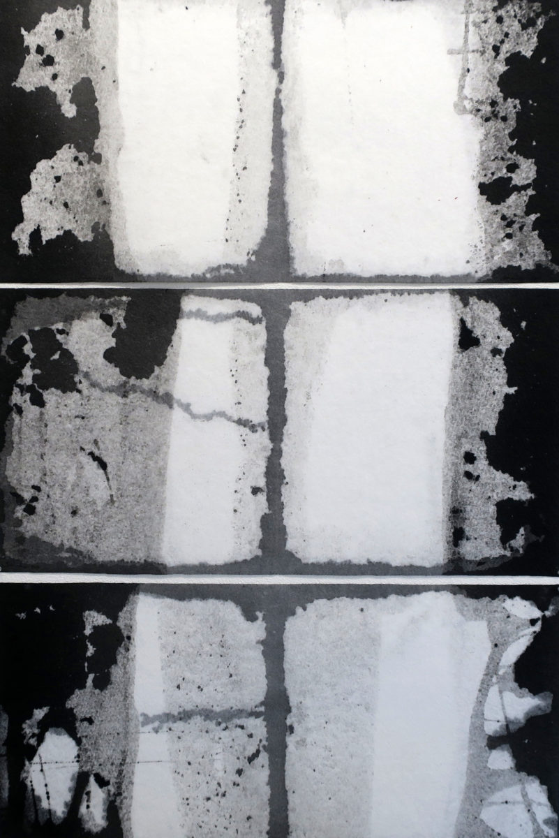 SCHUHR Helga, Noir et blanc, 2018, Acryl sur vlies, 20 x 100 cm 3 x, Racines