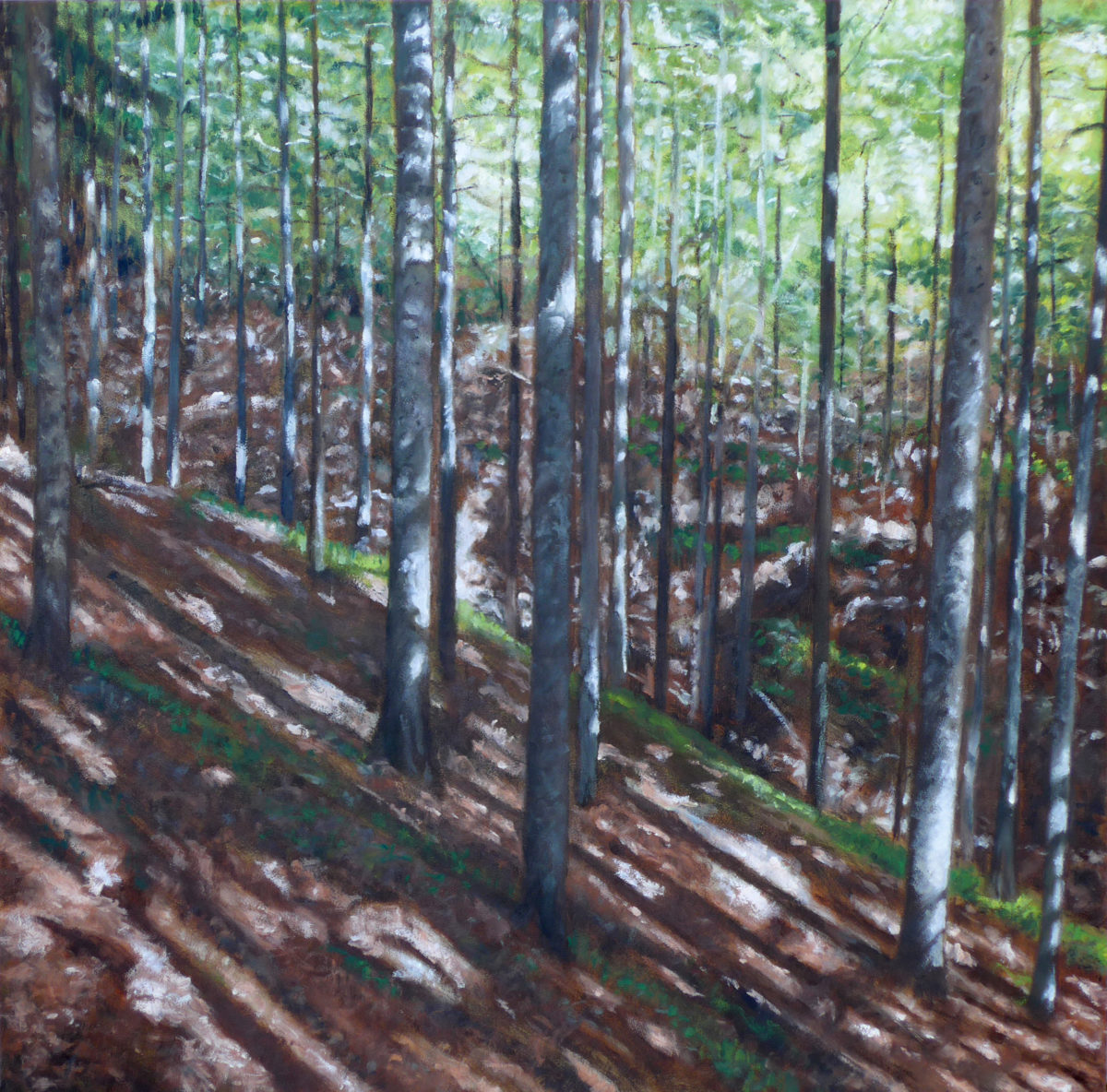 BOURQUIN Pascal, La foresta XV, 2016, Huile sur panneau, 74 x 73 cm