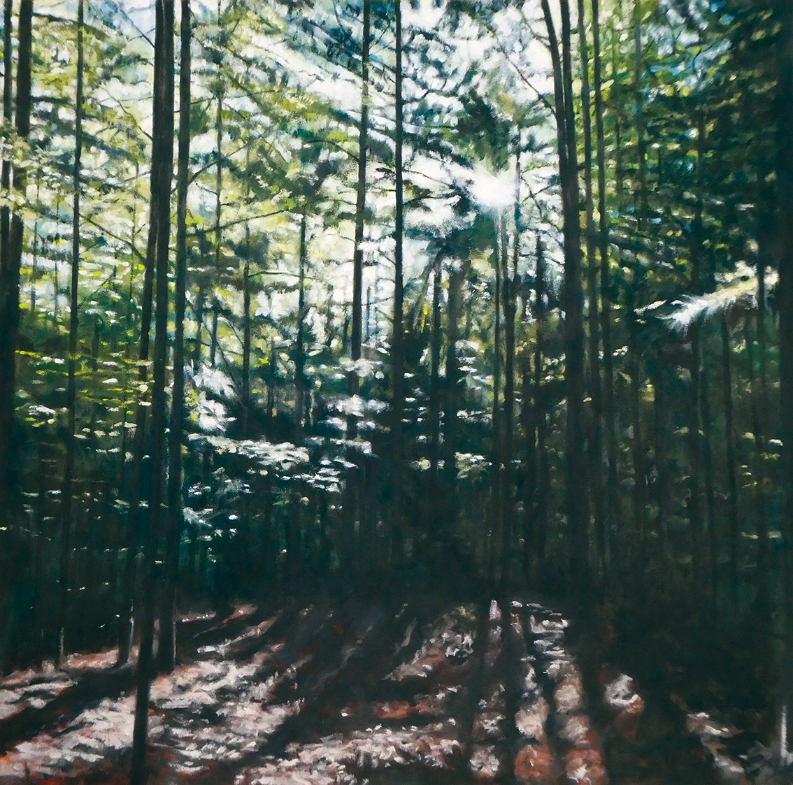 BOURQUIN Pascal, La foresta XXII, 2019, Huile sur panneau, 74 x 73 cm